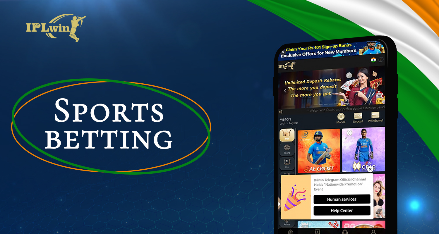 Sports available for betting in personal account on IPLWIN
